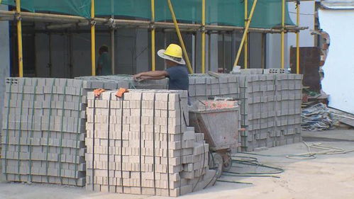 金山發展新篇章 居住、商業、就業三箭齊發，220個項目穩步推進